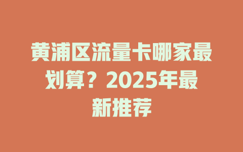黄浦区流量卡哪家最划算？2025年最新推荐