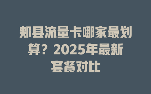 郏县流量卡哪家最划算？2025年最新套餐对比