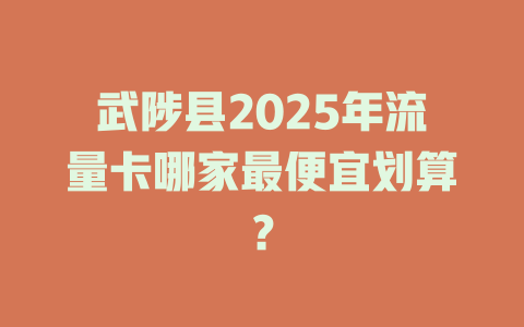 武陟县2025年流量卡哪家最便宜划算？