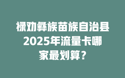 禄劝彝族苗族自治县2025年流量卡哪家最划算？