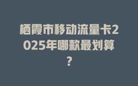 栖霞市移动流量卡2025年哪款最划算？