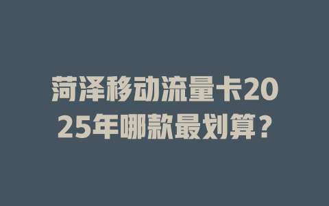 菏泽移动流量卡2025年哪款最划算？
