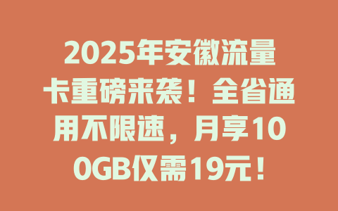 2025年安徽流量卡重磅来袭！全省通用不限速，月享100GB仅需19元！