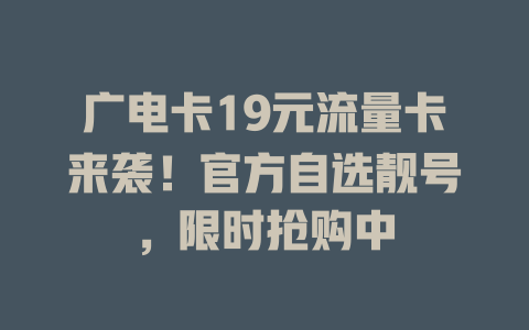 广电卡19元流量卡来袭!官方自选靓号,限时抢购中