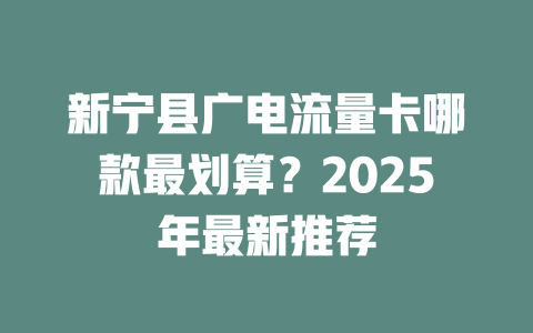 新宁县广电流量卡哪款最划算？2025年最新推荐