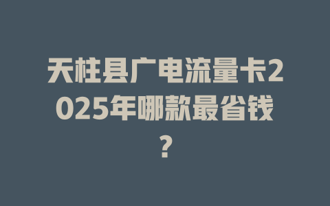 天柱县广电流量卡2025年哪款最省钱？