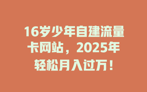 16岁少年自建流量卡网站，2025年轻松月入过万！