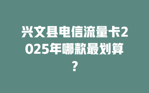 兴文县电信流量卡2025年哪款最划算？