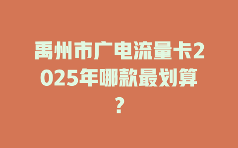 禹州市广电流量卡2025年哪款最划算？
