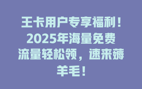 王卡用户专享福利！2025年海量免费流量轻松领，速来薅羊毛！