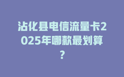 沾化县电信流量卡2025年哪款最划算？