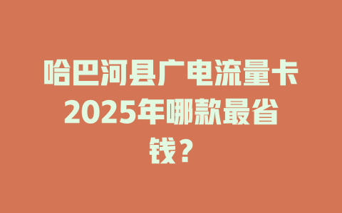 哈巴河县广电流量卡2025年哪款最省钱？