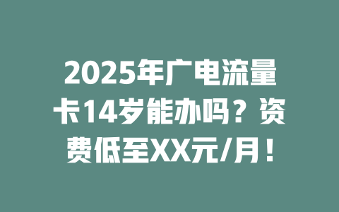 2025年广电流量卡14岁能办吗？资费低至XX元/月！