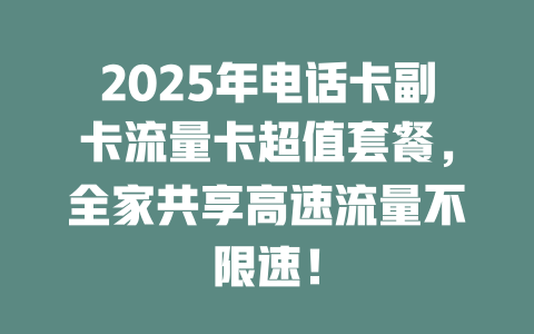 2025年电话卡副卡流量卡超值套餐，全家共享高速流量不限速！
