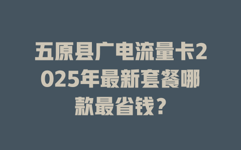 五原县广电流量卡2025年最新套餐哪款最省钱？