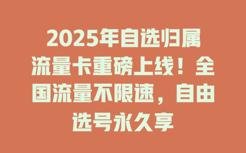 2025年自选归属流量卡重磅上线！全国流量不限速，自由选号永久享