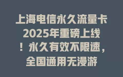 上海电信永久流量卡2025年重磅上线！永久有效不限速，全国通用无漫游