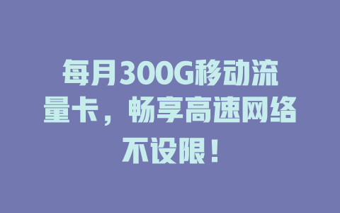每月300G移动流量卡，畅享高速网络不设限！