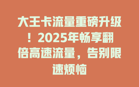 大王卡流量重磅升级！2025年畅享翻倍高速流量，告别限速烦恼