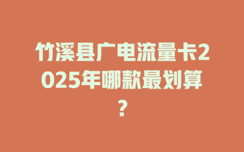 竹溪县广电流量卡2025年哪款最划算？