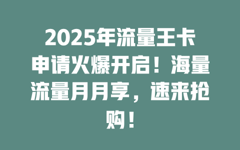 2025年流量王卡申请火爆开启！海量流量月月享，速来抢购！