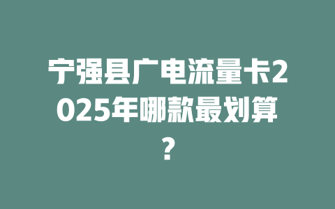 宁强县广电流量卡2025年哪款最划算？