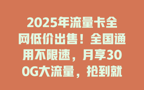 2025年流量卡全网低价出售！全国通用不限速，月享300G大流量，抢到就是赚到！