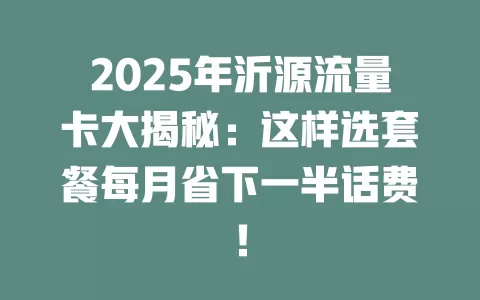 2025年沂源流量卡大揭秘：这样选套餐每月省下一半话费！