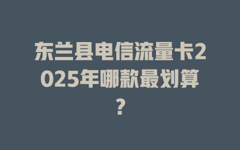 东兰县电信流量卡2025年哪款最划算？