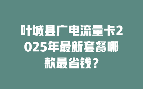 叶城县广电流量卡2025年最新套餐哪款最省钱？