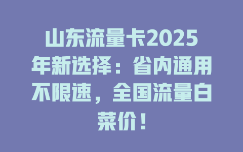 山东流量卡2025年新选择:省内通用不限速,全国流量白菜价!