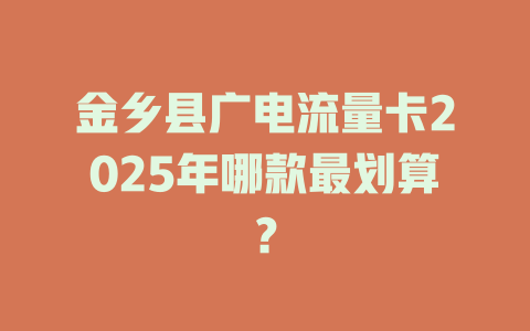 金乡县广电流量卡2025年哪款最划算？