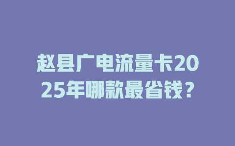 赵县广电流量卡2025年哪款最省钱？