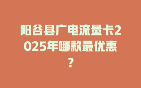 阳谷县广电流量卡2025年哪款最优惠？