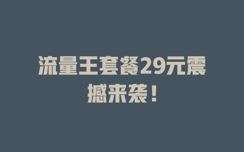 流量王套餐29元震撼来袭！