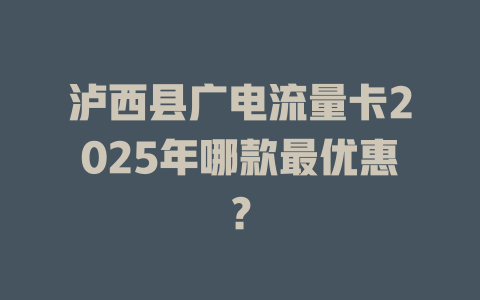 泸西县广电流量卡2025年哪款最优惠？