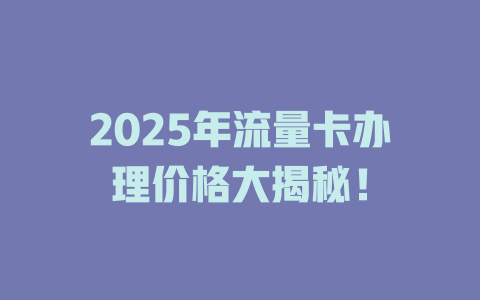 2025年流量卡办理价格大揭秘！