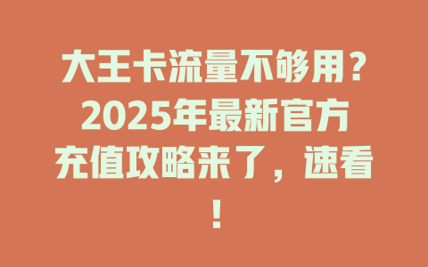 大王卡流量不够用？2025年最新官方充值攻略来了，速看！