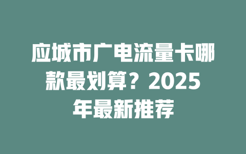 应城市广电流量卡哪款最划算？2025年最新推荐