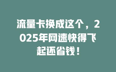 流量卡换成这个，2025年网速快得飞起还省钱！