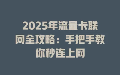 2025年流量卡联网全攻略：手把手教你秒连上网