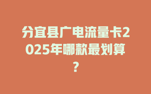 分宜县广电流量卡2025年哪款最划算？