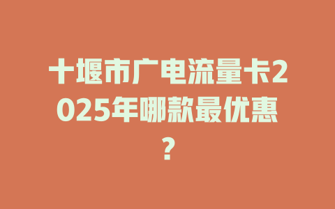 十堰市广电流量卡2025年哪款最优惠？