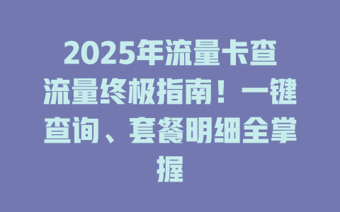 2025年流量卡查流量终极指南！一键查询、套餐明细全掌握