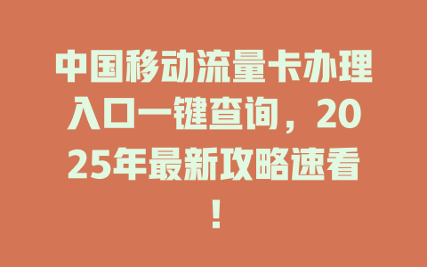 中国移动流量卡办理入口一键查询，2025年最新攻略速看！