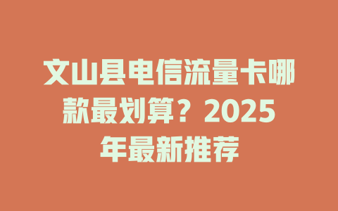 文山县电信流量卡哪款最划算？2025年最新推荐