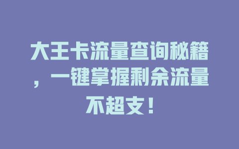 大王卡流量查询秘籍，一键掌握剩余流量不超支！