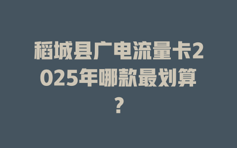 稻城县广电流量卡2025年哪款最划算？