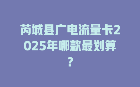 芮城县广电流量卡2025年哪款最划算？