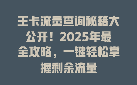 王卡流量查询秘籍大公开！2025年最全攻略，一键轻松掌握剩余流量